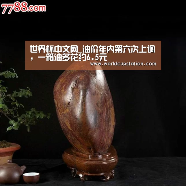 官方动态