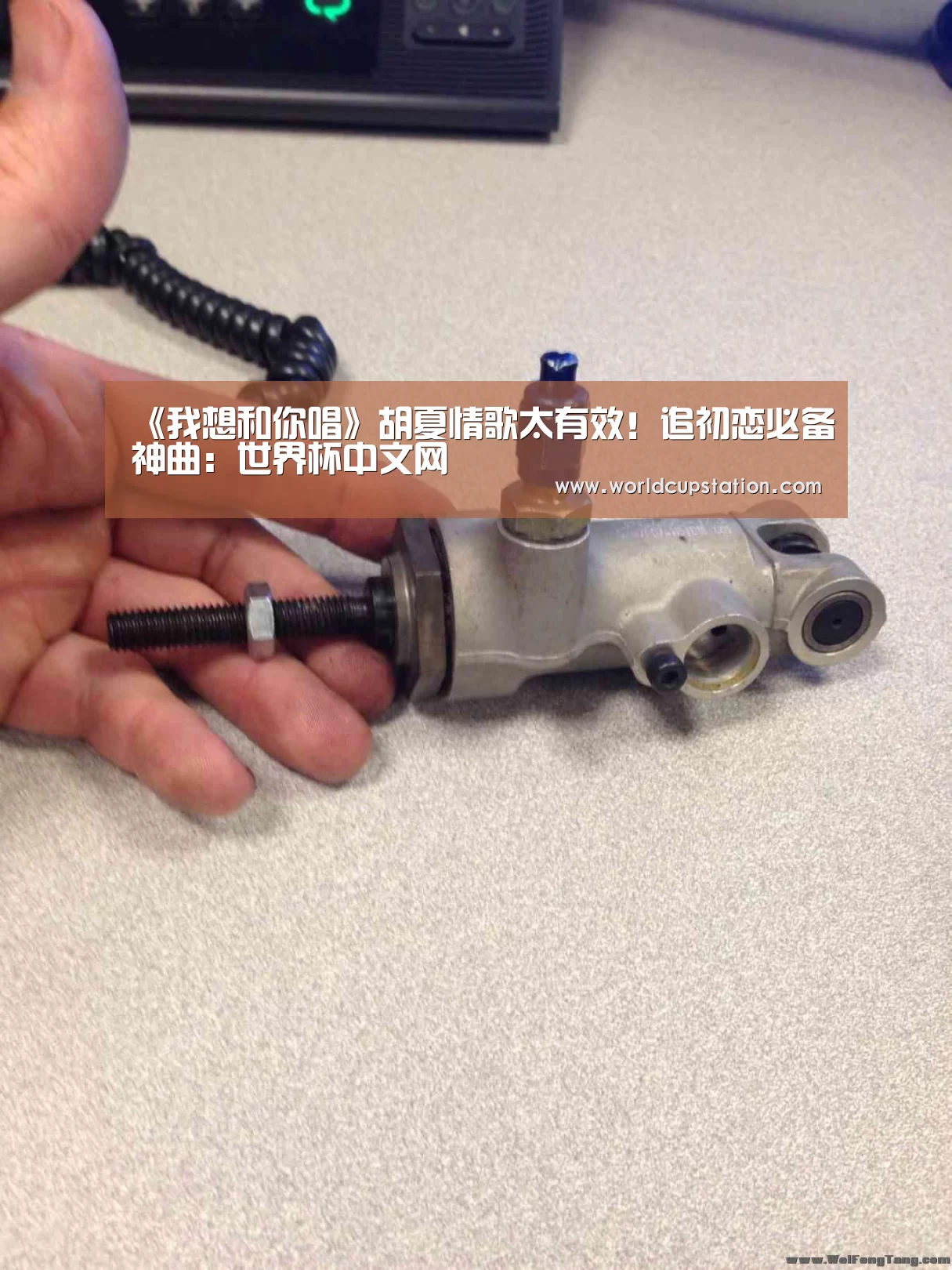 世界杯中文网